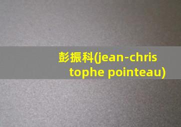 彭振科(jean-christophe pointeau)